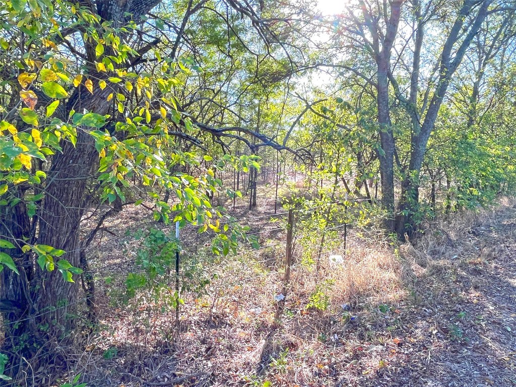 Picture 10