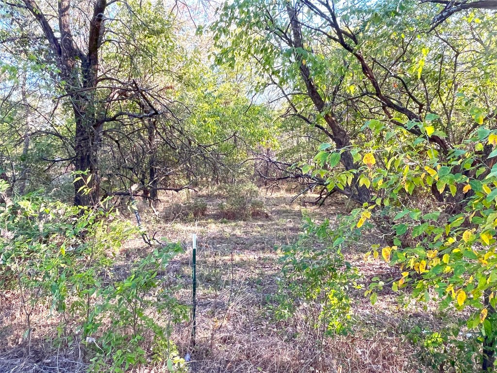 Picture 9