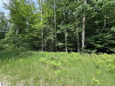 LAND - Leroy, MI