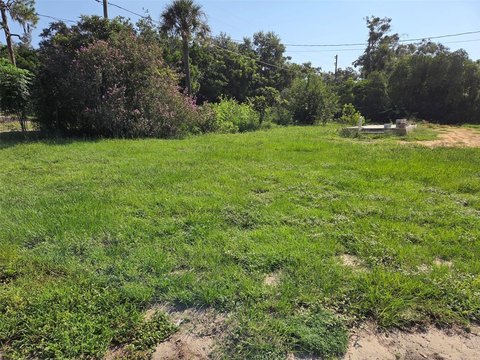 Land, ZEPHYRHILLS, FL