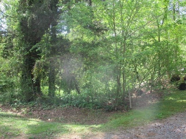 Picture 15