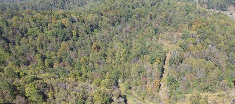 Residential Land with Hunting Potential