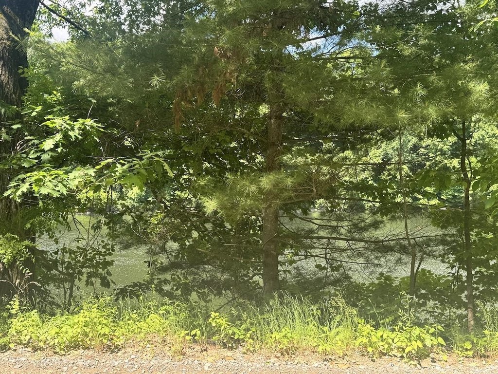 Picture 8