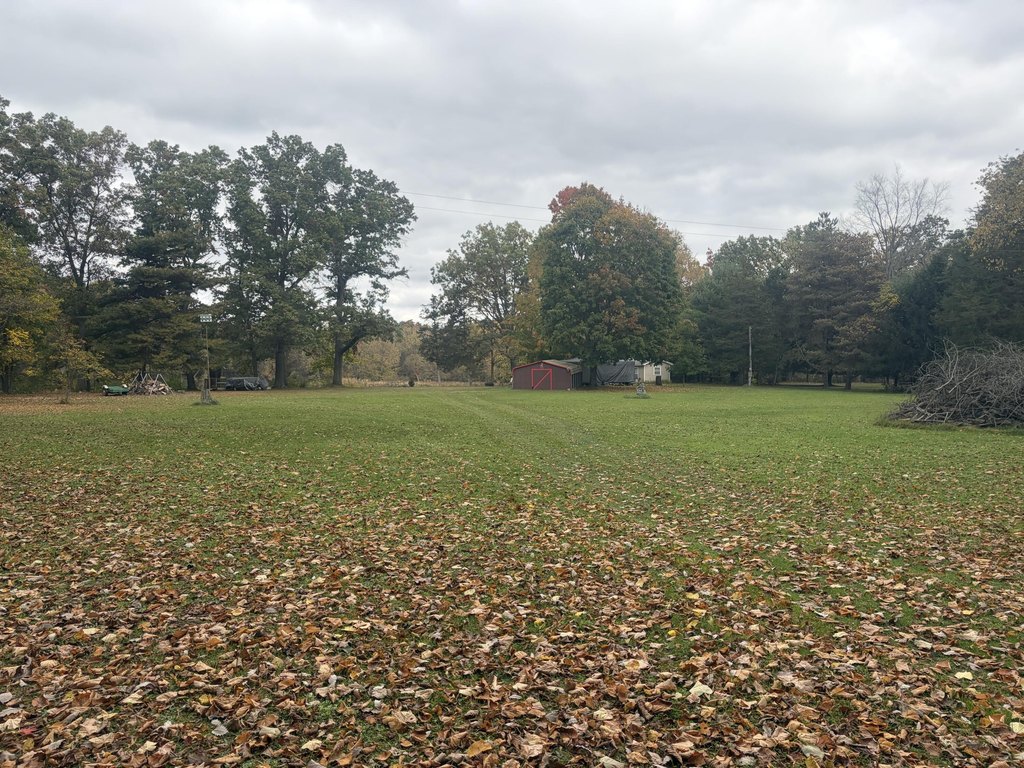 Picture 16