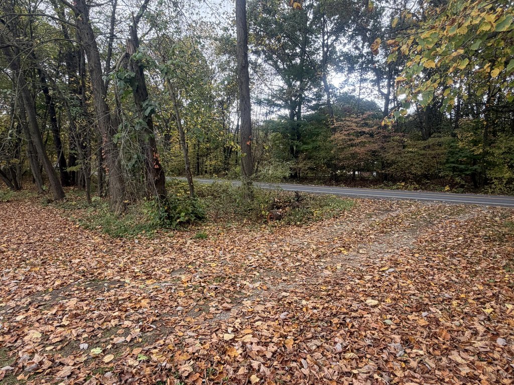 Picture 17