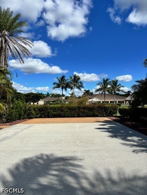 Picture 5