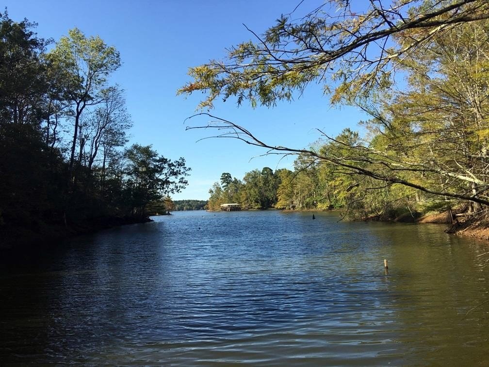 Toledo Bend Lake Waterfront Acreage