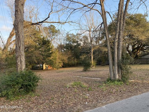 Cleared Corner Lot in Moss