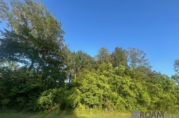 Livingston Land for Residential Development