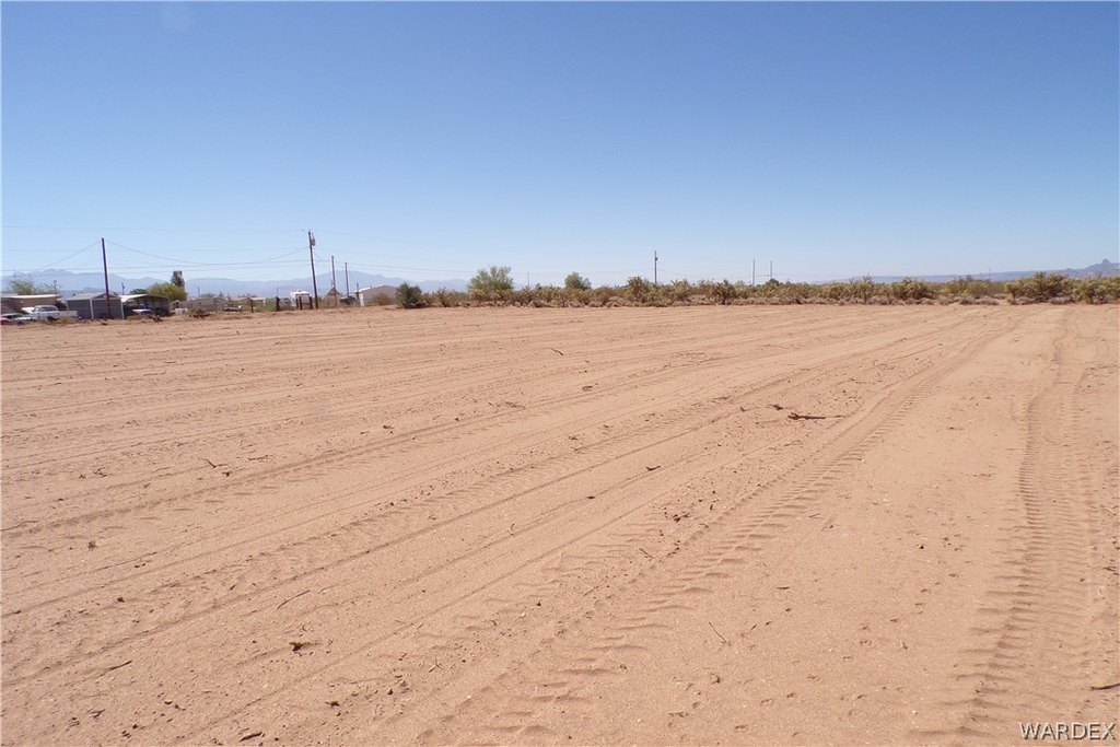 Picture 19