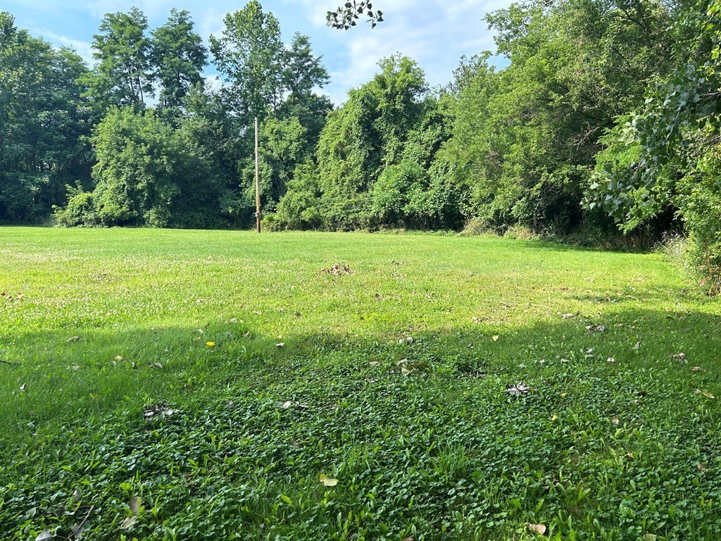 Picture 30