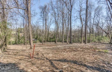 Johnson City Land For Sale