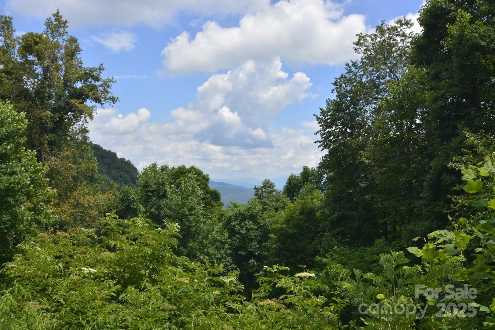 Scenic Mountain View Building Lot