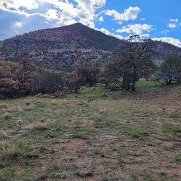Datil, NM Vacant Land