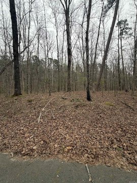 Hot Springs Village Homesite
