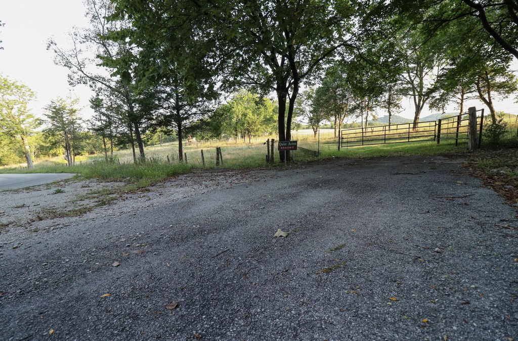 Picture 41