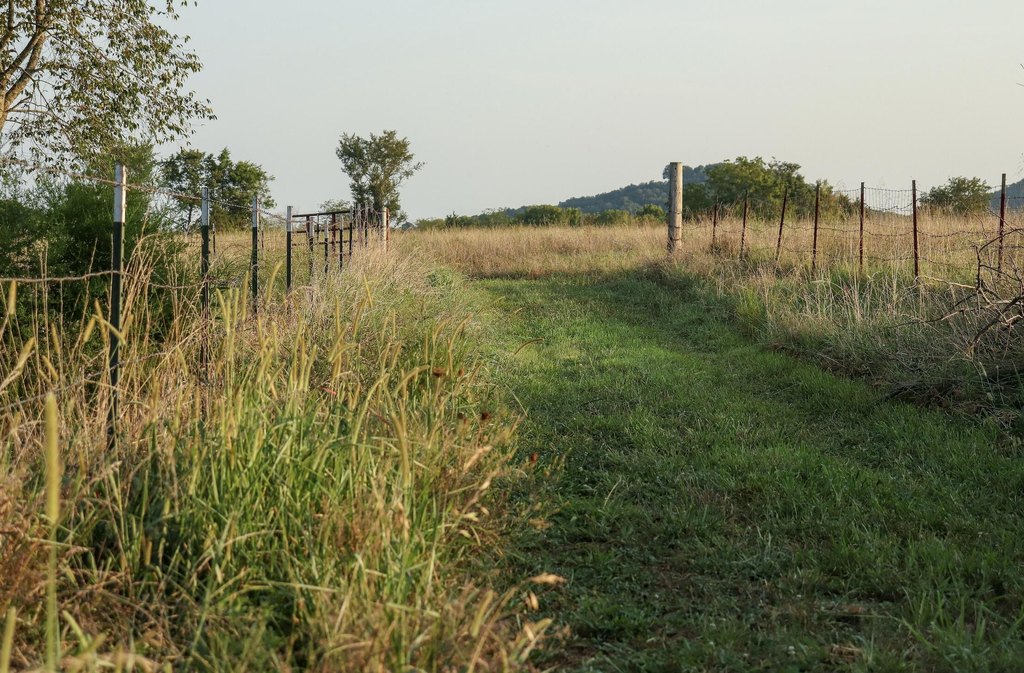 Picture 45