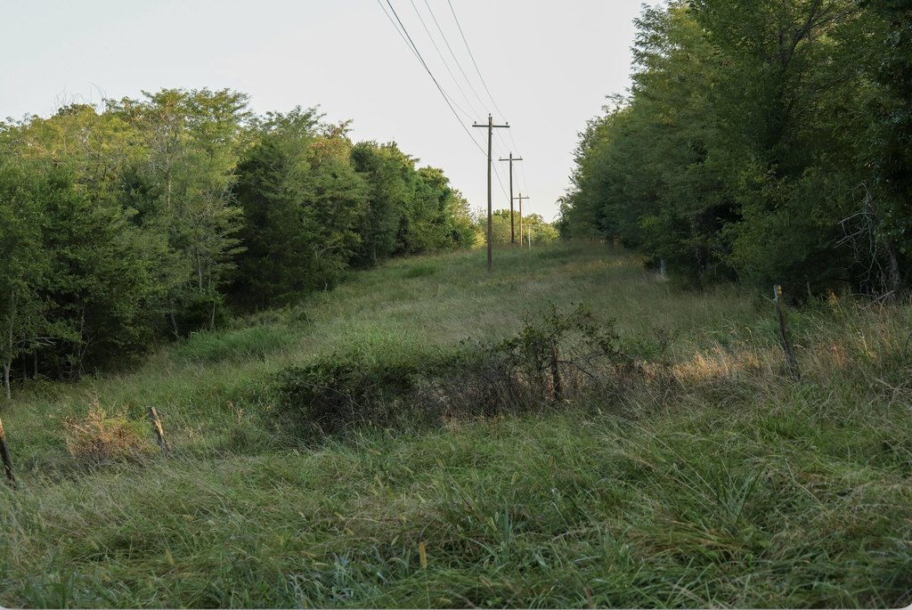 Picture 51