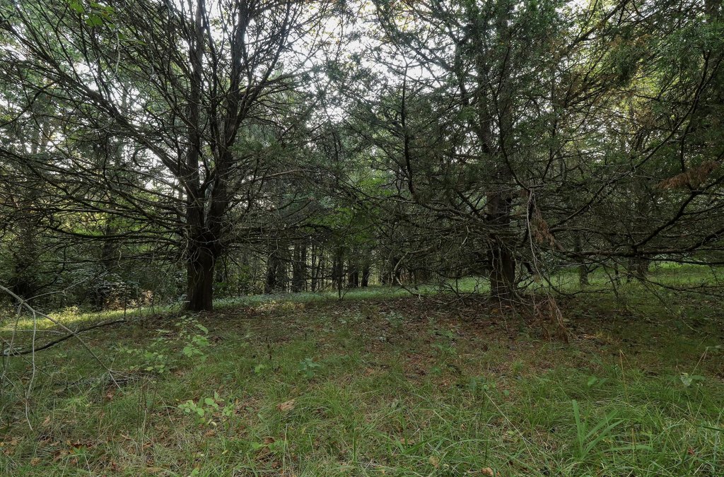 Picture 25