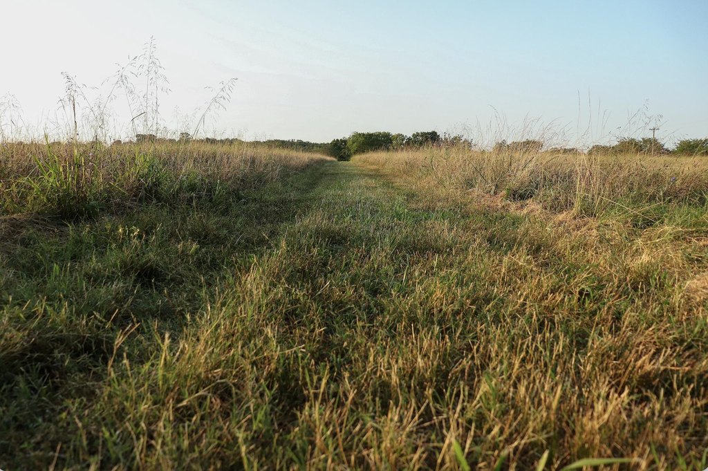 Picture 49