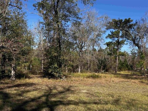 Ragley Land Ready For Development