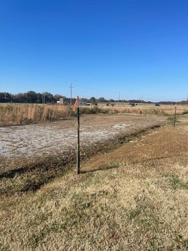 Residential Land in Bells, TN