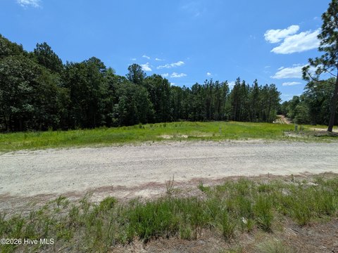 LAND - Eagle Springs, NC
