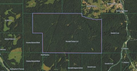 Timber & Hunting Land Tract