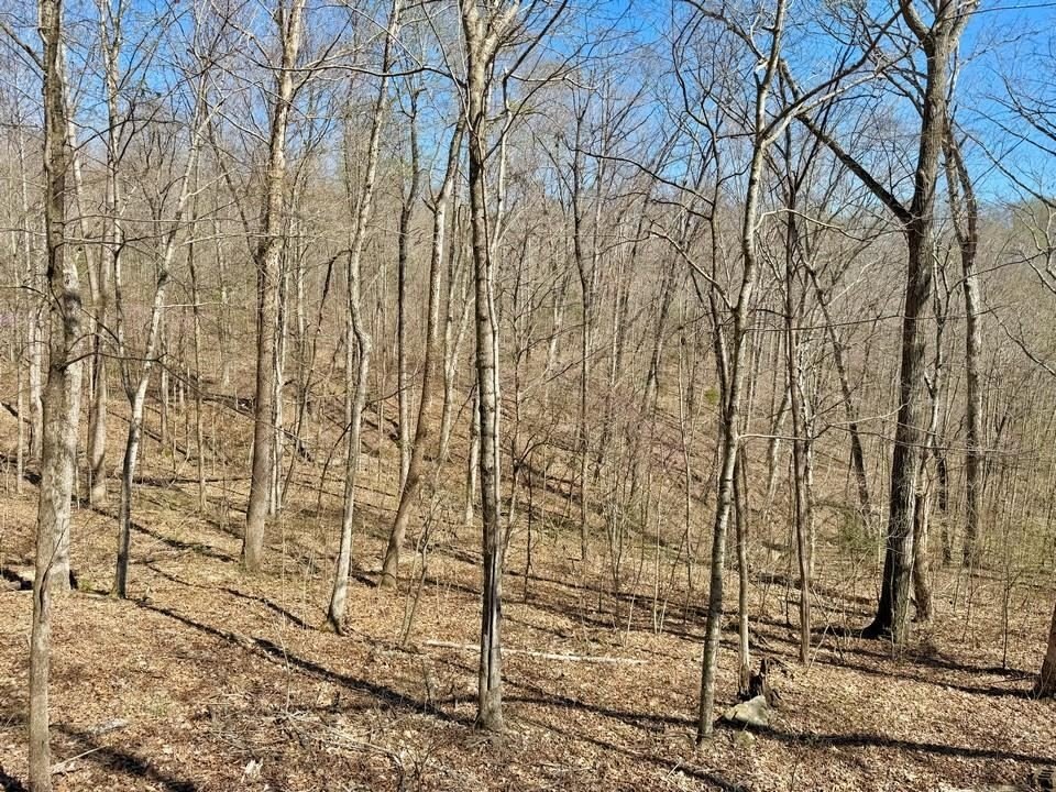 Picture 7
