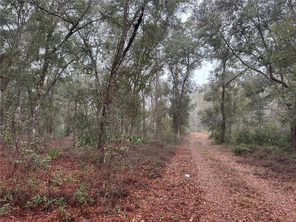 Picture 2