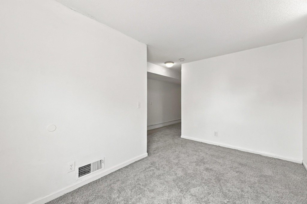 Picture 38