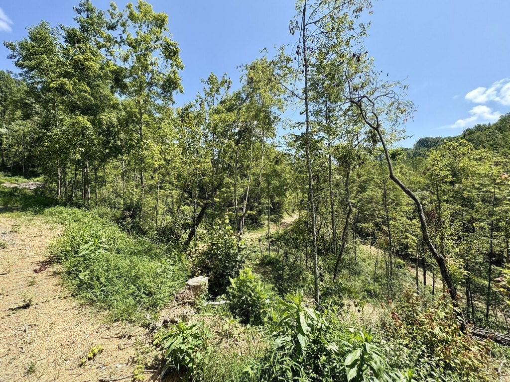 Picture 21