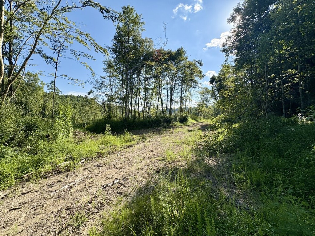 Picture 13
