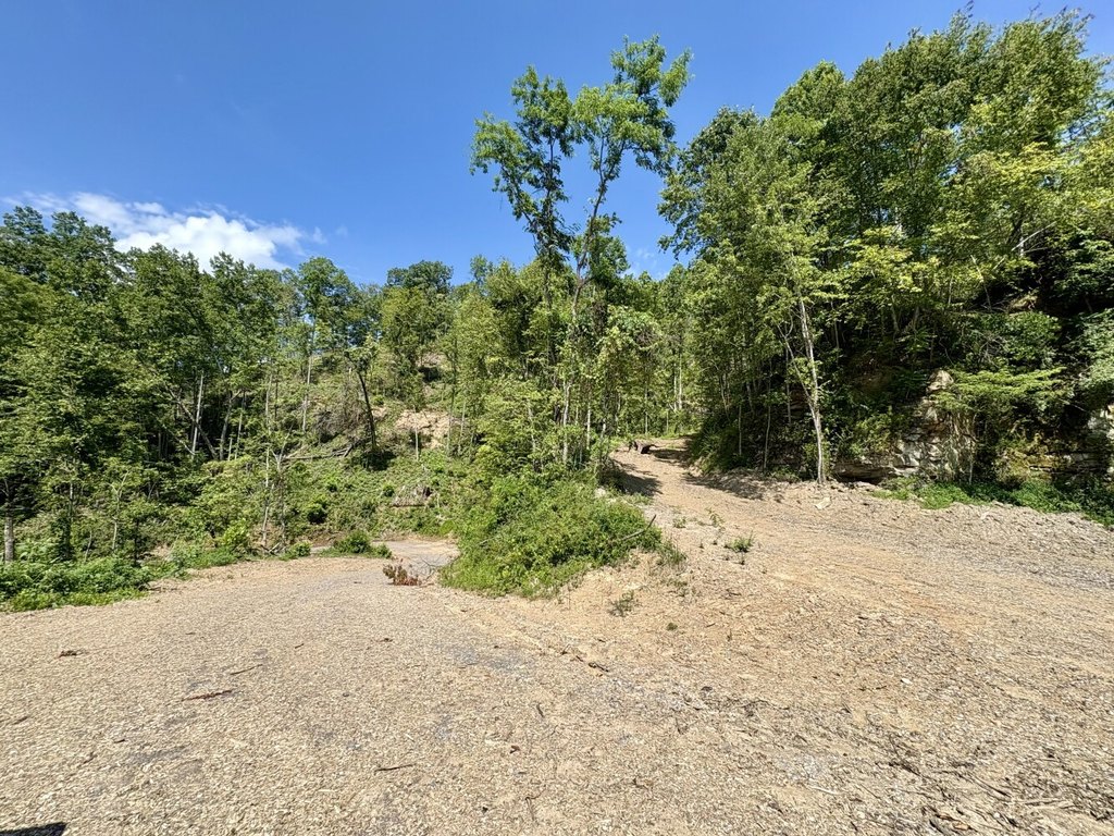Picture 19
