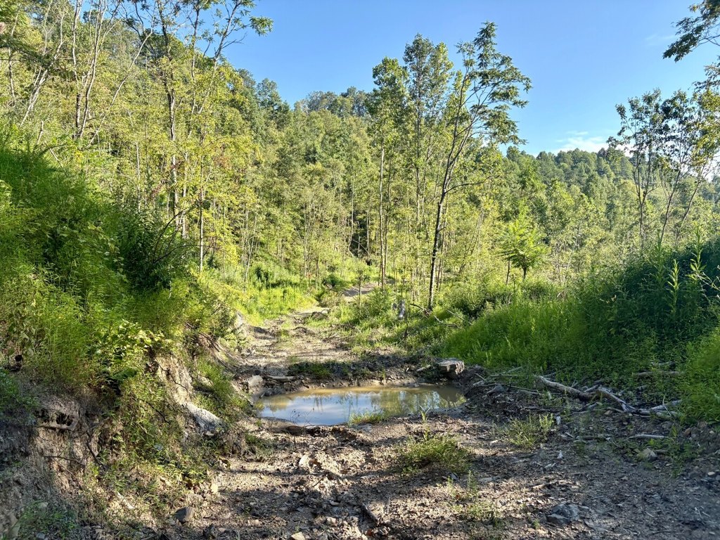 Picture 17