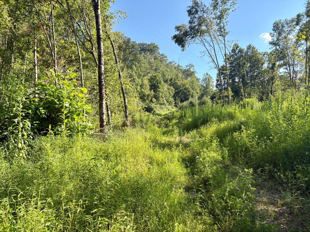 Picture 16