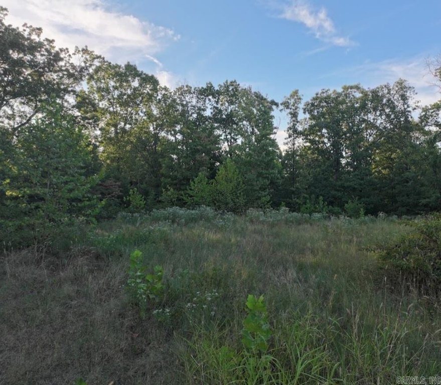 Picture 4