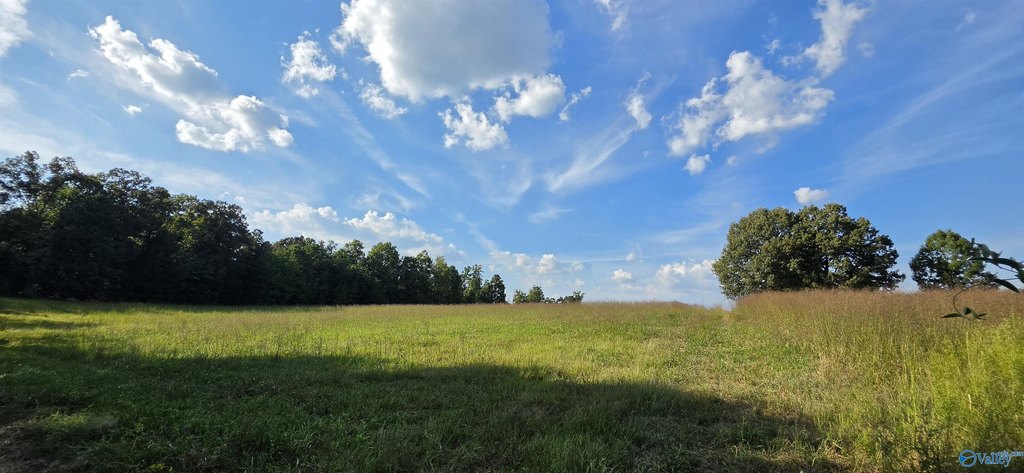 Picture 17
