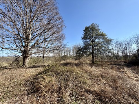 Richmond, KY - 1 Acre Land