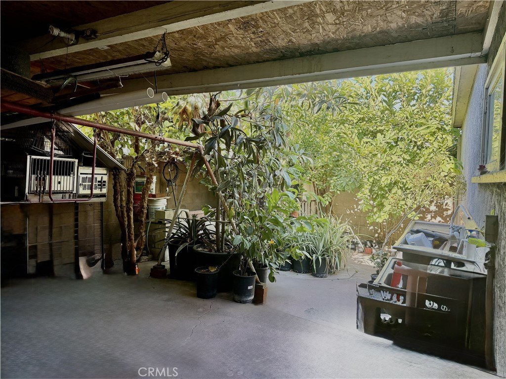 Picture 25
