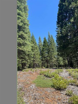 LAND - Lake Almanor, CA