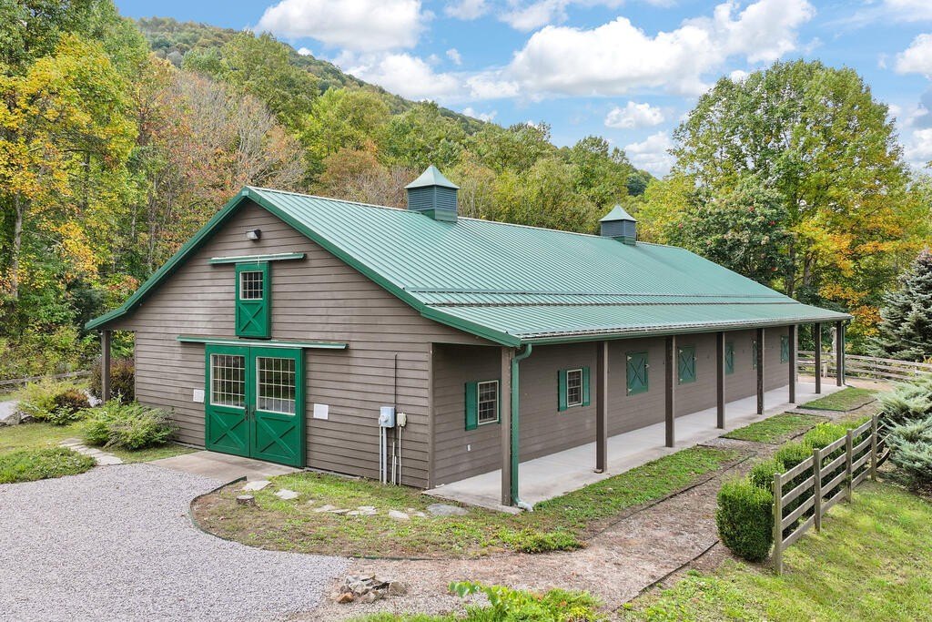 Picture 7