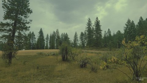 Council, ID Land Parcel