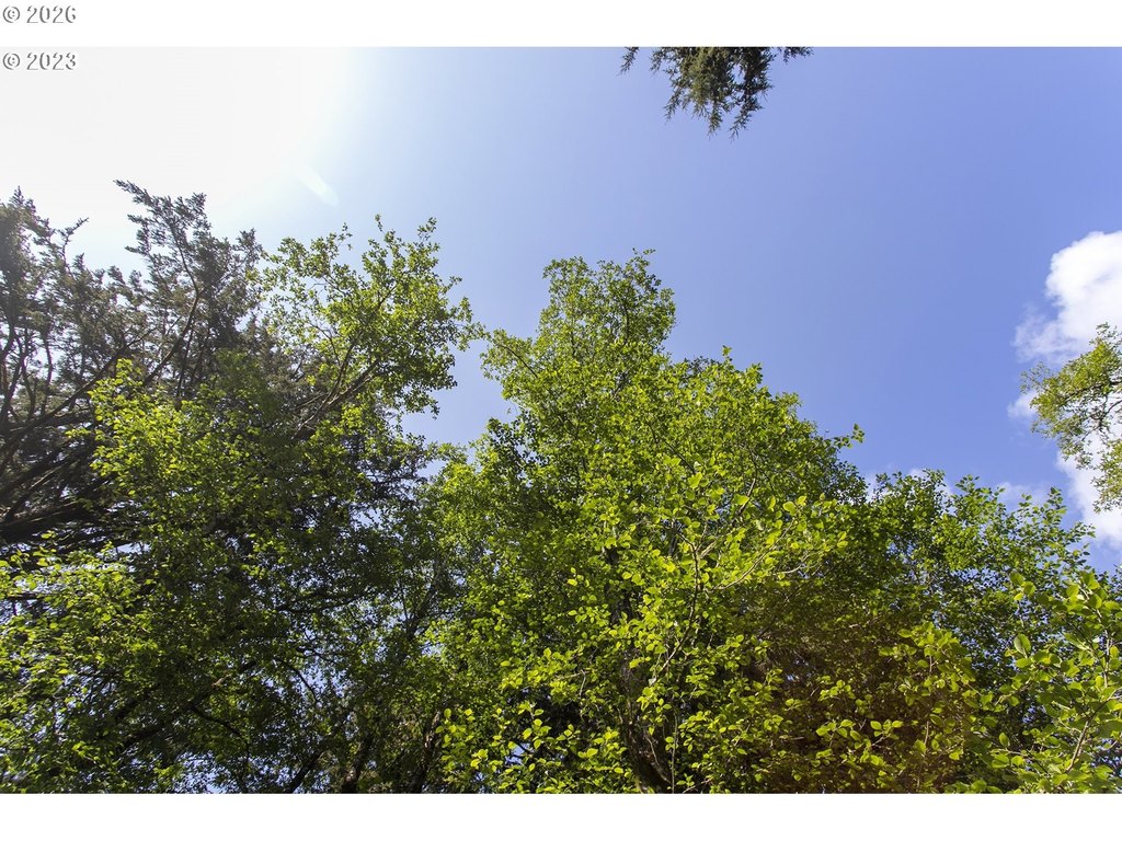 Picture 23