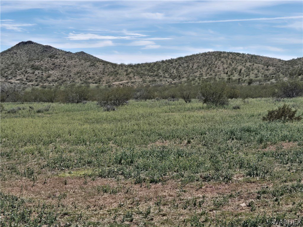 Land Near Colorado River