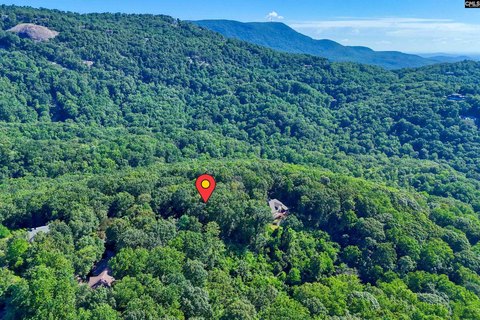 LOTS AND ACREAGE, Landrum, SC