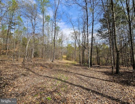 Secluded Wooded Land in Culpeper