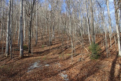 Unrestricted Mountain Land Near Franklin
