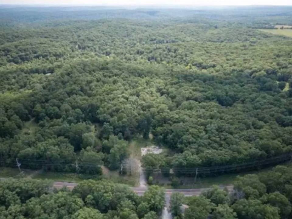 Picture 8