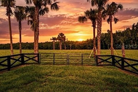 LAND - REDDICK, FL